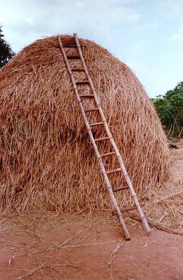 The straw is kept as fodder, not to be wasted or treated as a nuisance.