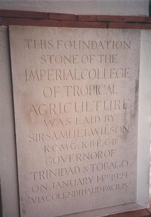 Translation: "The way of the cultivator is anything but easy." Is this actually a quote from a classical author? I can't track it down, thou