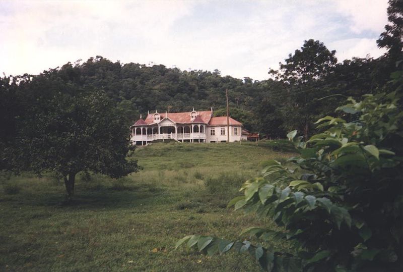 On the hills to the north, coffee and cacao plantations were ultimately destroyed by economics and disease. Some plantation houses survive.