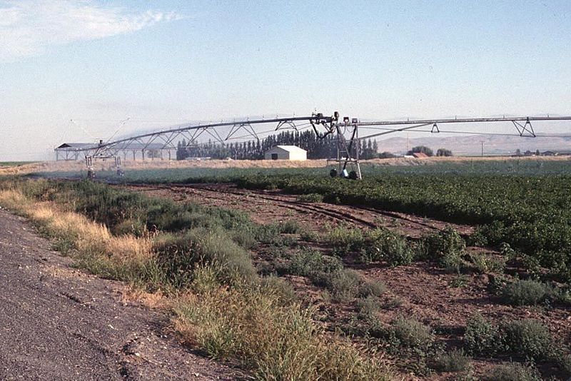 State of the art: a center-pivot sprinkler with an articulated tailpiece to reach the corners of the field that otherwise would stay dry.
