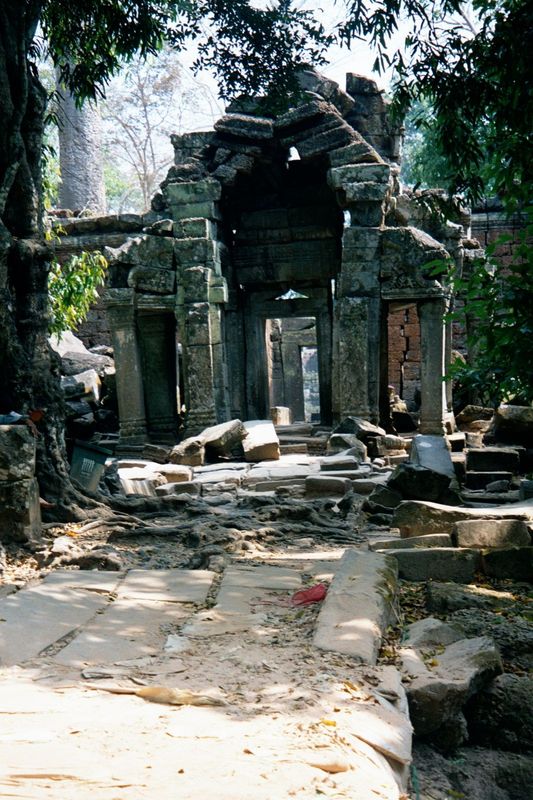 South and slightly east of Ta Keo is Ta Prohm, "Ancestor Brahma." It's another work of Jayavarman VII. In fact it's a near twin to his Preah