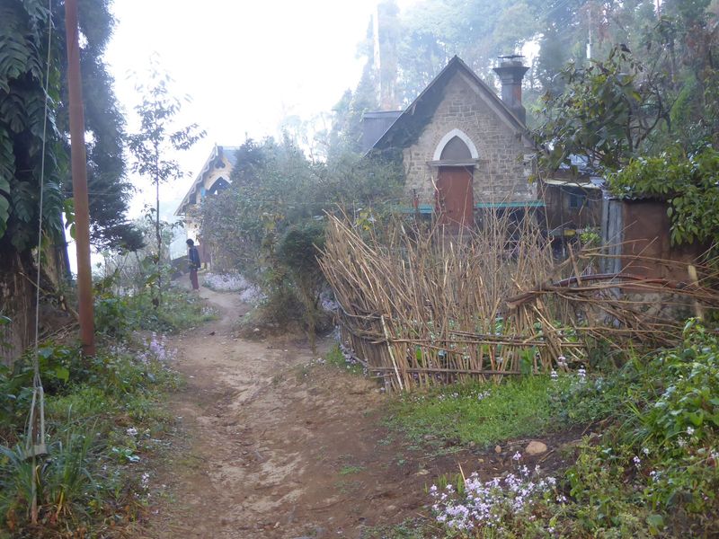 We've drifted over to the old cemetery. It's not in great shape.