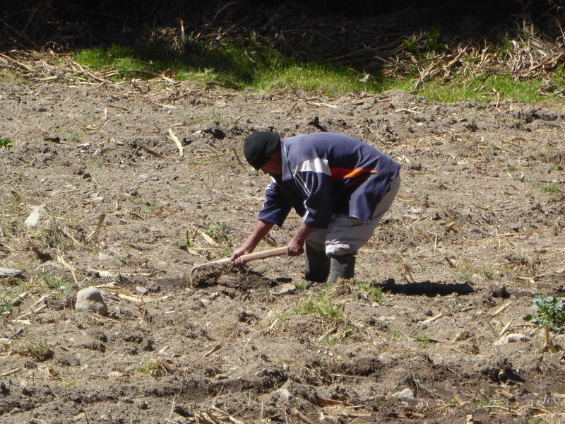 Economists can talk all day about labor-intensive jobs, but this guy walks the walk.