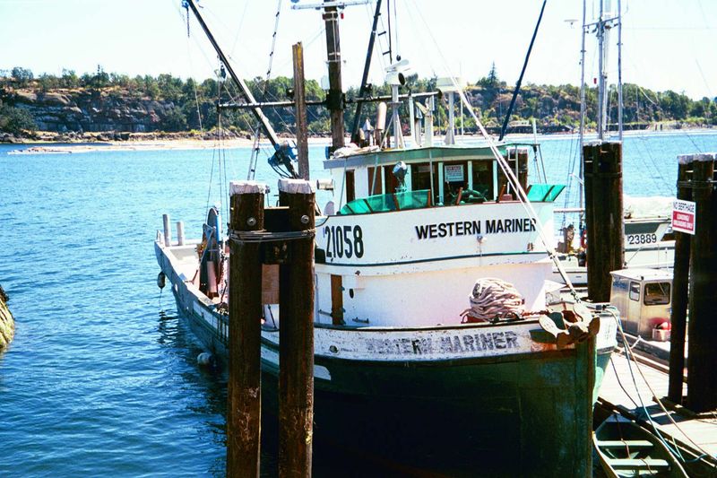 For Sale: this fishboat was tied up at Chemainus, south of Nanaimo. The margins were too thin to make fishing profitable. Nobody was offerin