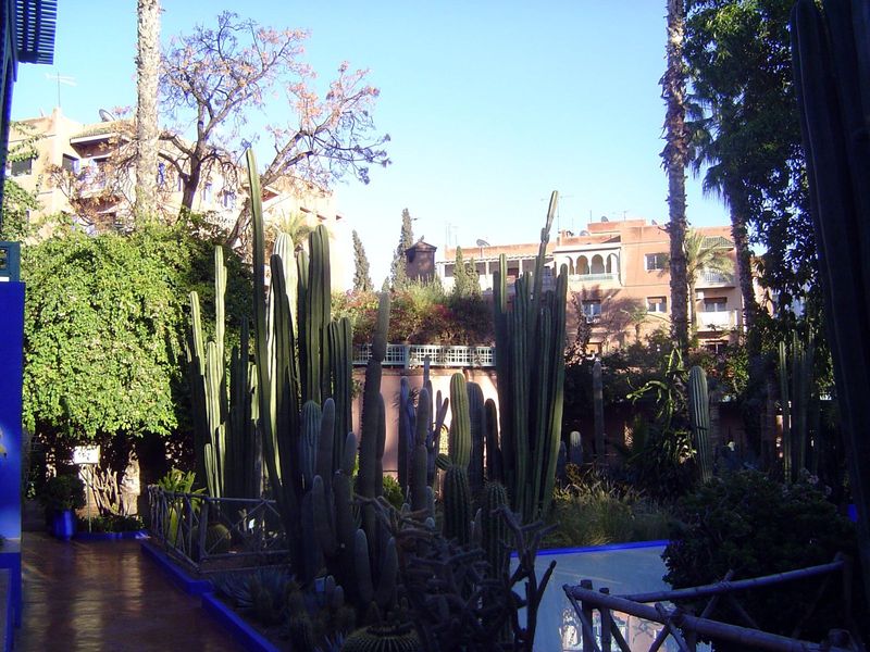 Most housing here is multi-story, but there are estates with space, such as the famous Jardin de Majorelle, built in the 1920s by Jacques Ma