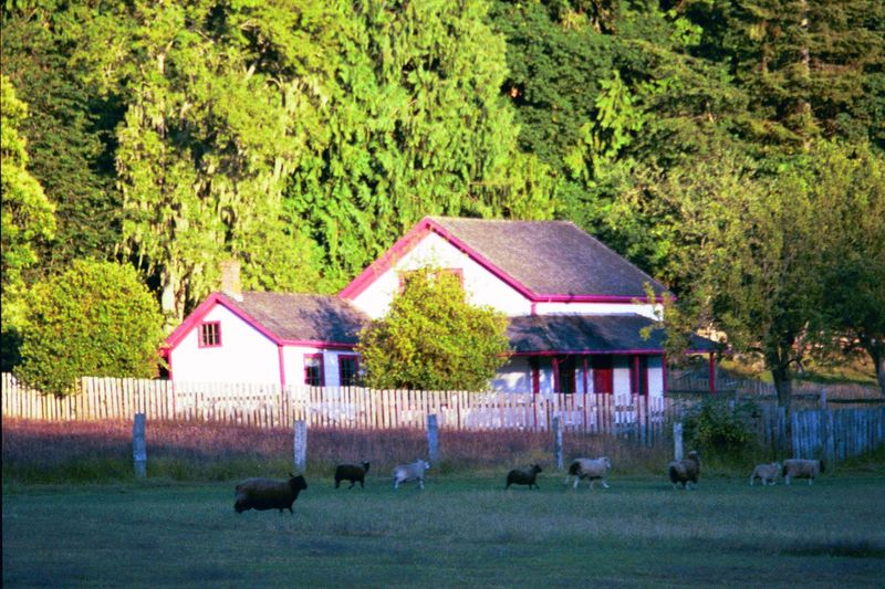 There were homesteaders, too. Eventually they faced ruinous property taxes. In this case the Ruckle family transferred the property to the p