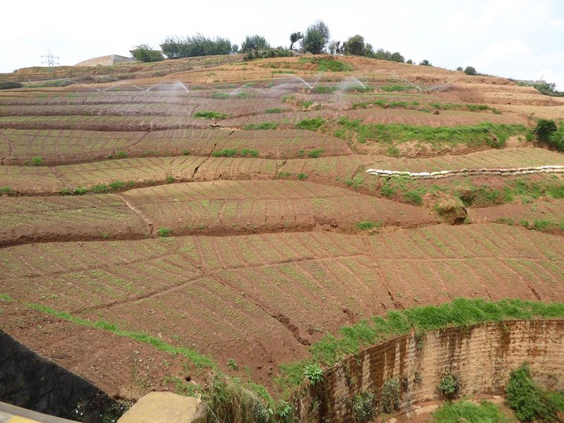 People insist that the soil in these raised beds won't wash into the stream below.