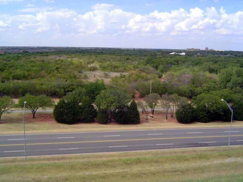 Looking from the dam north over Bluff Creek.