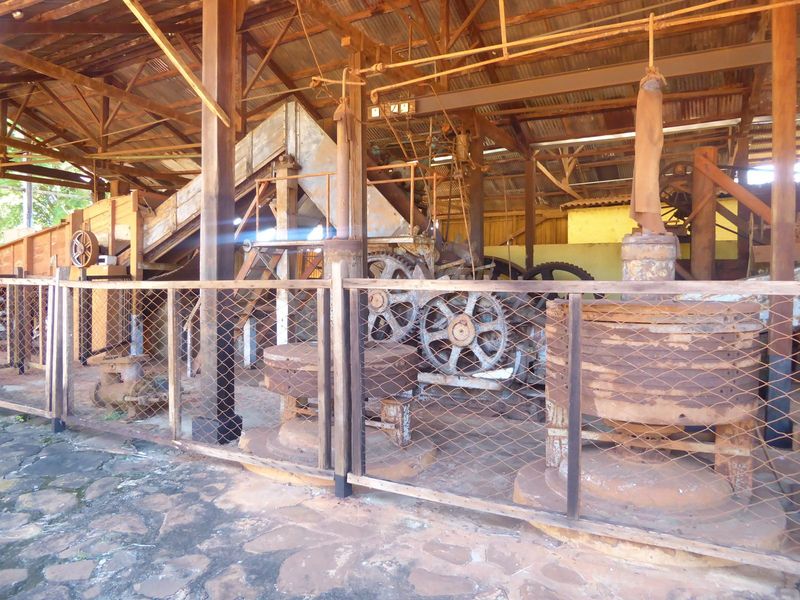 Cane came in and was crushed behind these gears.