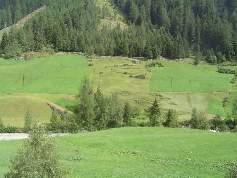 There are still bits of pasture.