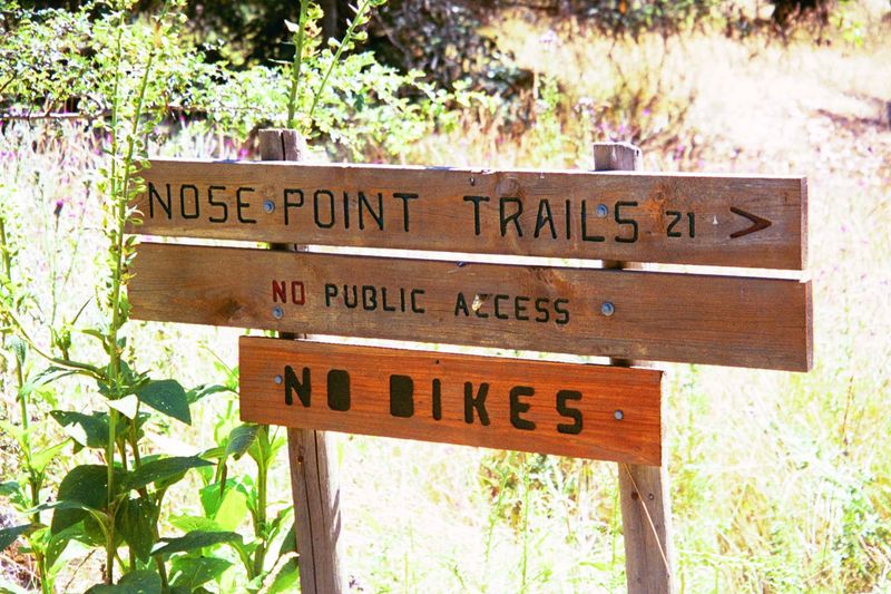 Compared to the American San Juan Islands, where beaches are privately owned—"if you want some, buy some!"—beaches on the Canadian side of t