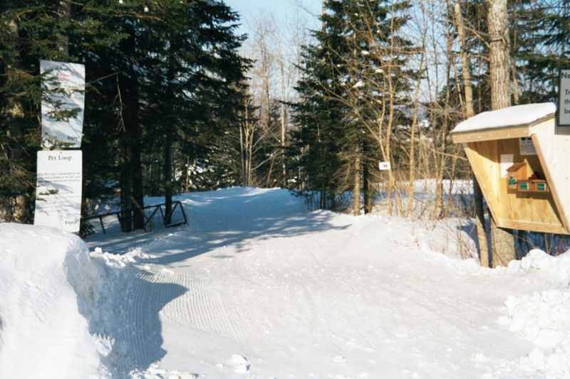Here's the entrance to an elaborate network of cross-country ski trails. The paths are hard enough that you can just walk.