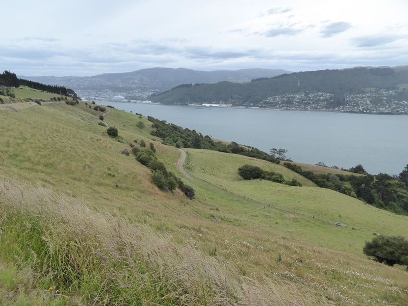 There's plenty for the Trust to keep an eye on. Port Chalmers is off the right; the turfed stadium is near the head of the harbor.