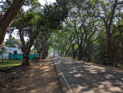 The old road from Kumbakonam to Chidambaram.