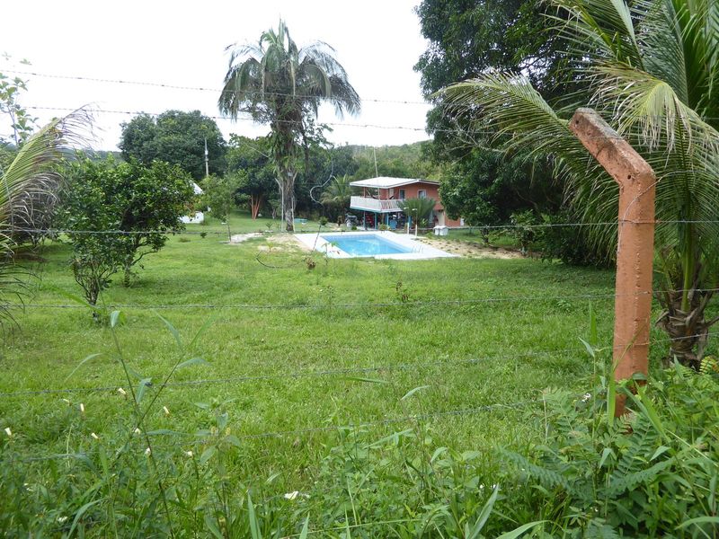 A Manaus escapee.