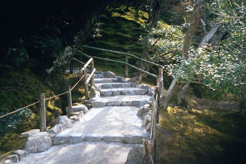 Path up the hill.