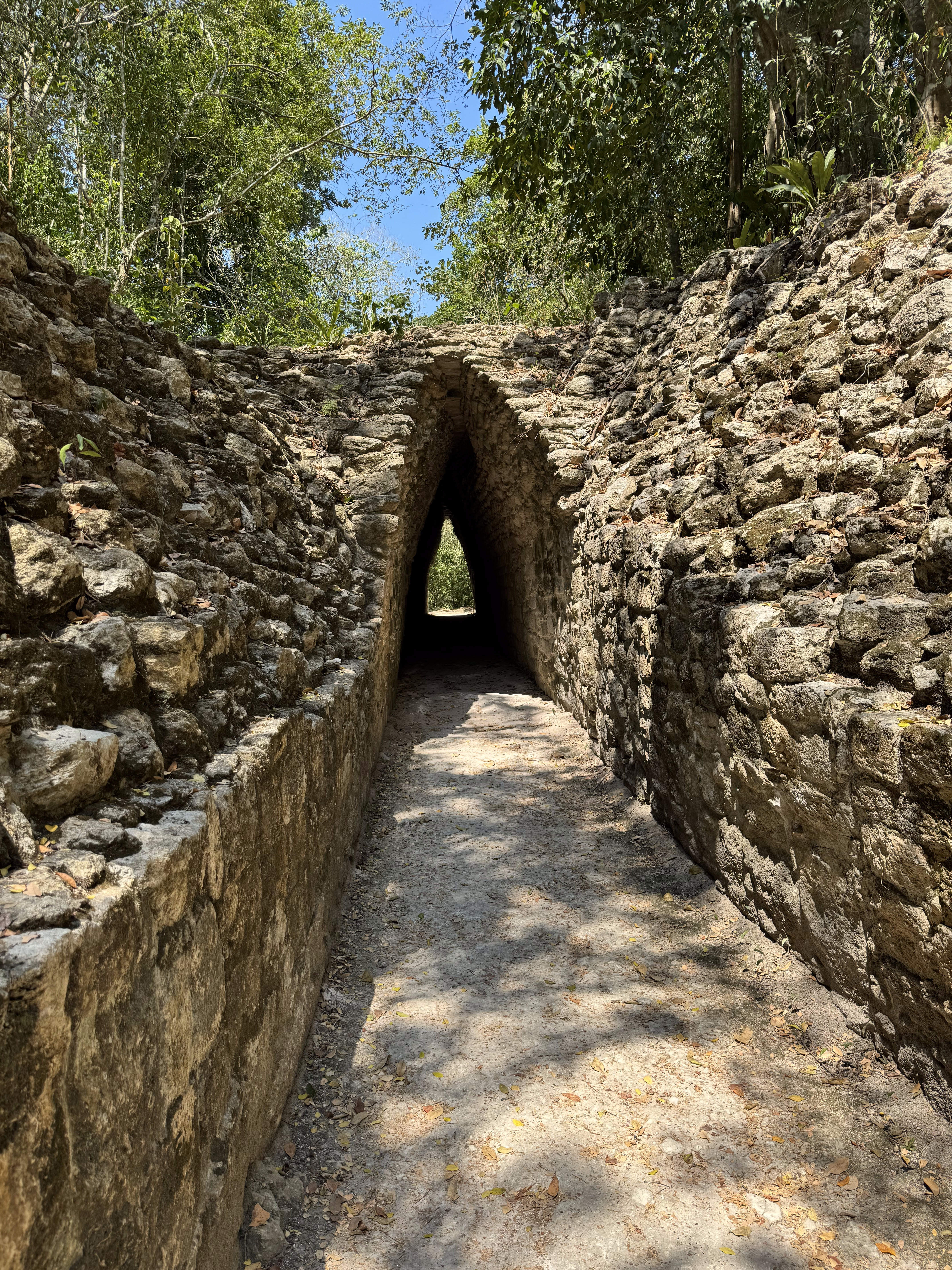 A Maya arch on the path toward Structures 9 and 10.