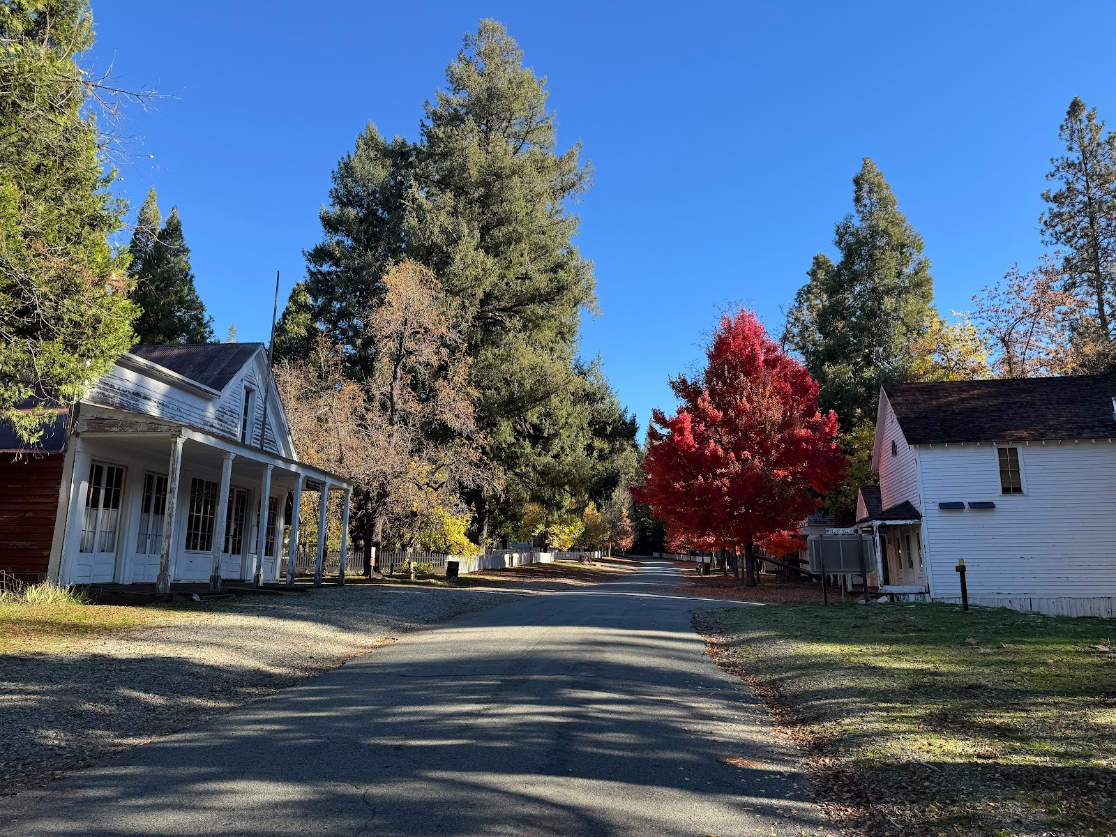 There's a ghost town up here, North Bloomfield.  California has no South Bloomfield, but there was a Bloomfield.
