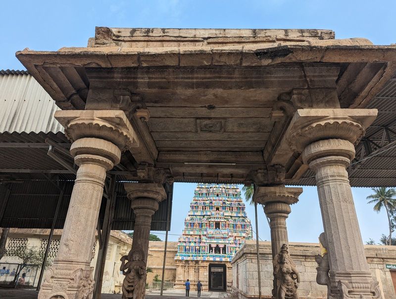 The gopuram in the background it's the same one we saw a moment ago prompts the same question.  And there's another issue: are we looking at