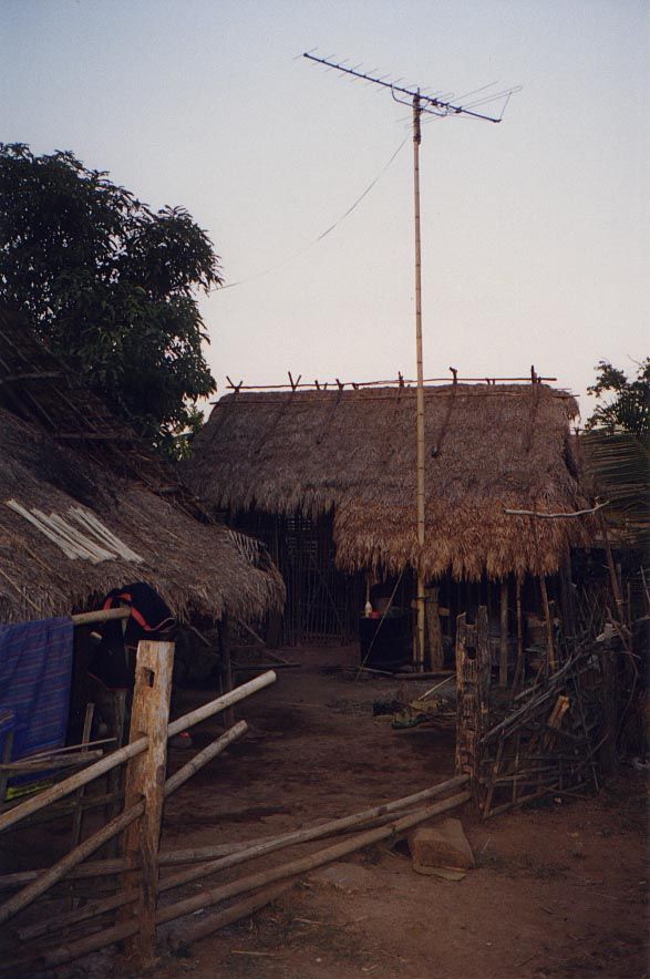 An antenna mounted on a bamboo pole.