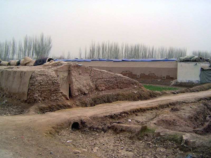 Greenhouses; the north side is solid; the tapered south side is open but with roll-up covers.