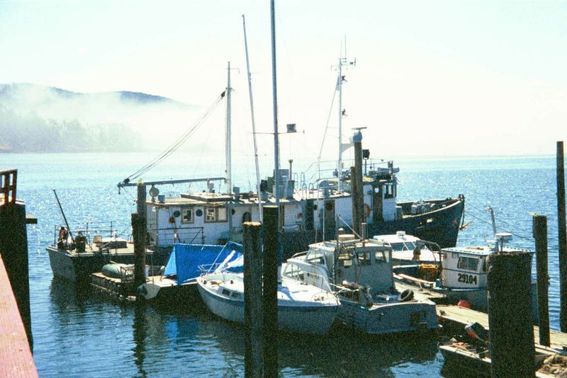 A few carry on. As usual, a fog banks awaits them.