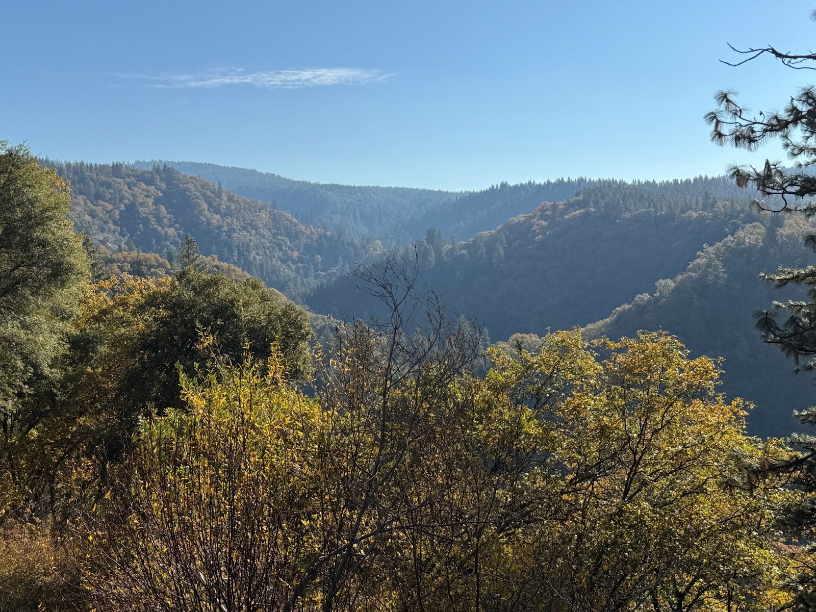 Foot on the gas: we're jumping 40 miles from Nevada City to Downieville, which with 300 people ranks as the least populous county seat in Ca
