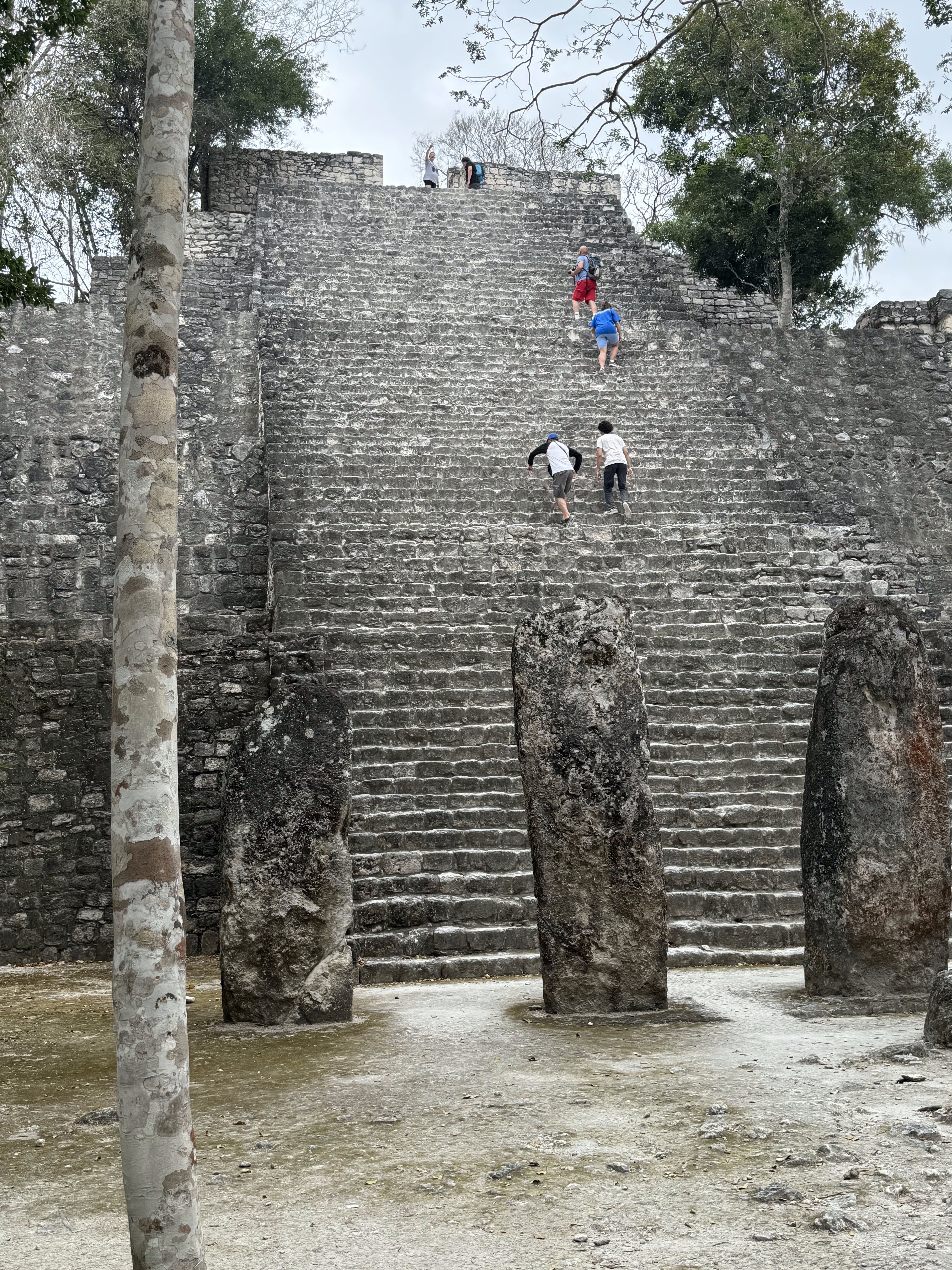 Isn't that what it takes to build something like this, Structure 7, at the north end of the central plaza?  And no, the two pyramids implied