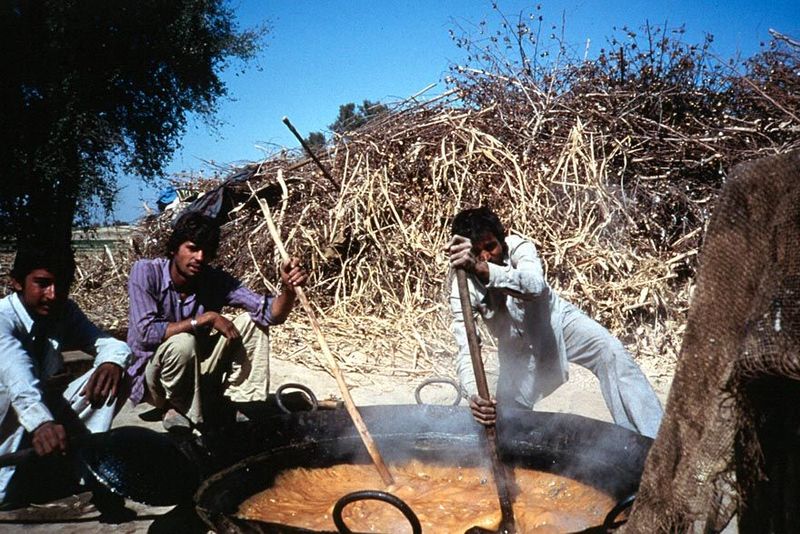 The juice will be poured into large pancakes to dry, then pressed into blocks. There are plenty of flies in the neighborhood, but the produc