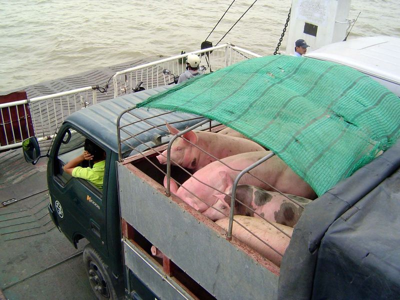 So are some of the passengers.