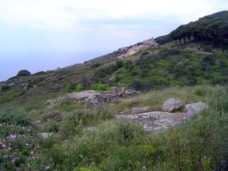 Scattered ruins, terraced vineyards, and pine plantations.