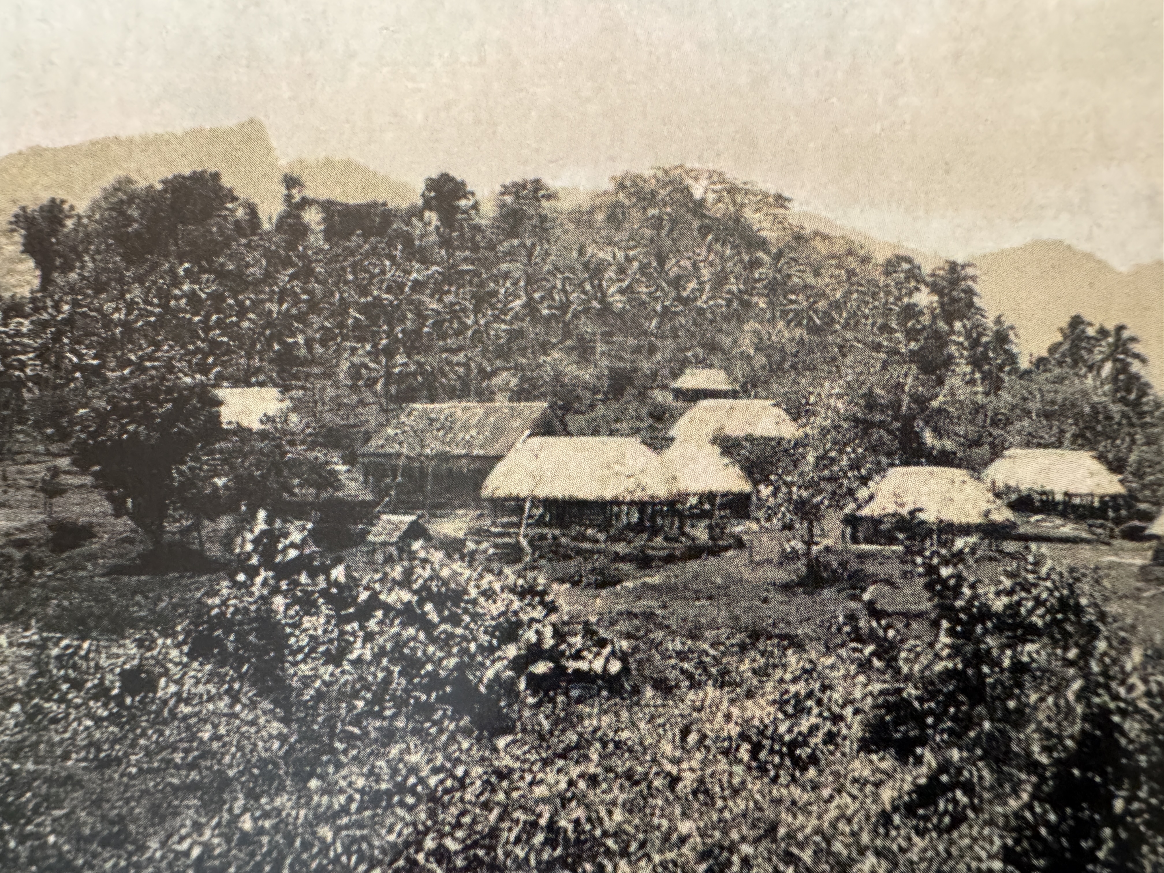 But see the sheet metal?  It's Falevao Village, photographed in 1933.   Why, why, why?  After all, a missionary writing in 1861, pointed out