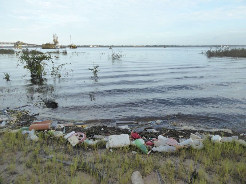 Where does this stuff go after the bank of the Amazon?