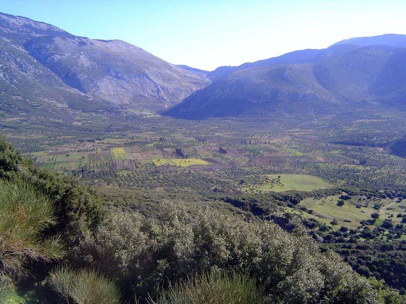 The view from the monastery. Loukas, who was born in Kastri, the village that was on the site of Delphi, died here in 953. The church was be