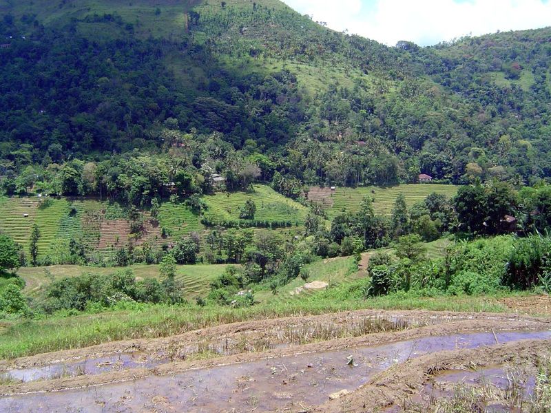 Kandy's just on the other side of the hill. You can infer the location of the valley's road from the top of the cultivated area and the line