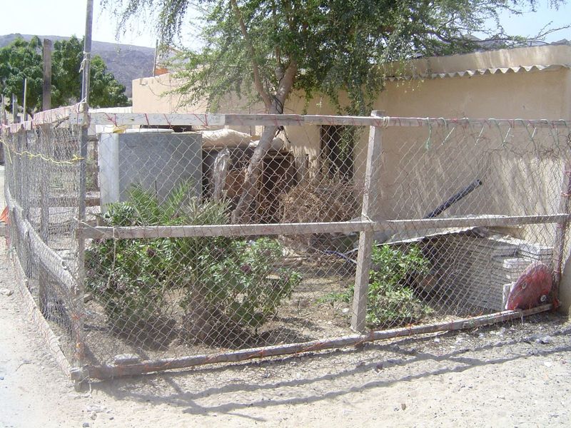 However limited, a garden.