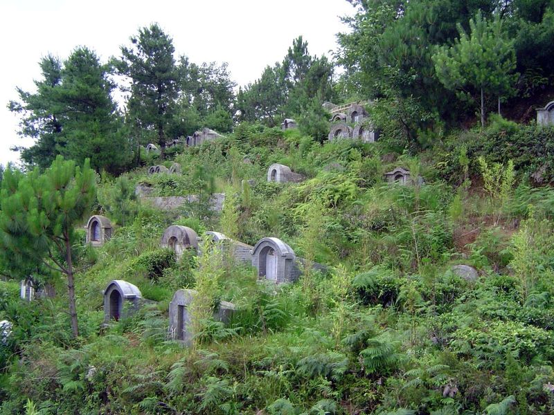 The previous photos were taken from Zhonghe Shan, a peak in the Jade Green Cang Mountains; the slopes of the mountain are dotted with thousa