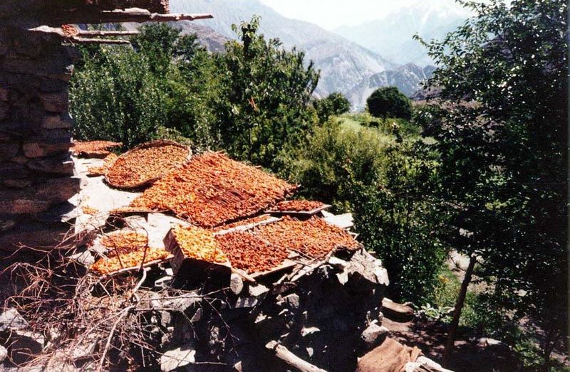 Each household finds its own drying surface.