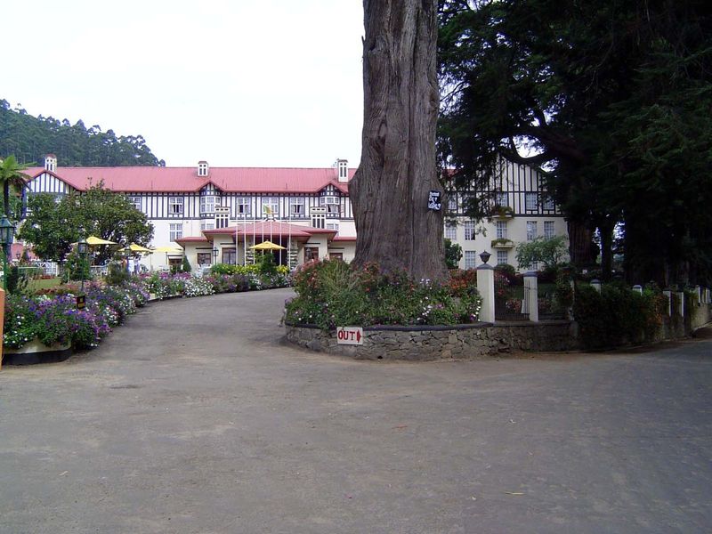 The Grand Hotel is fronted by grand cedars.