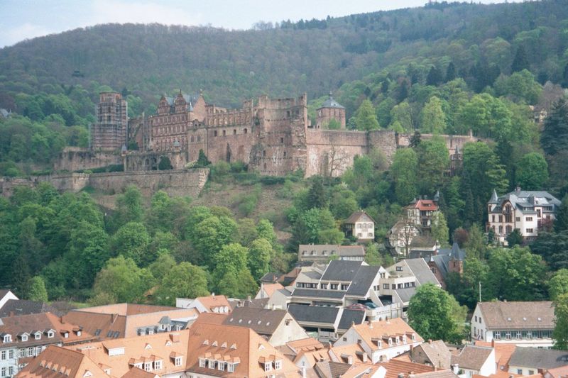 Here's looking the other way around, from the church steeple back to the castle.