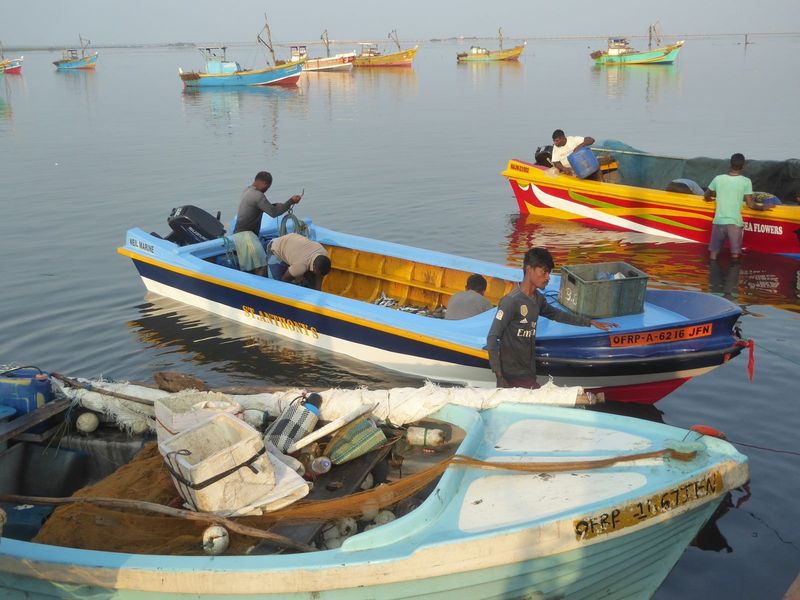 Here comes the catch, splayed on the bottom boards of even the best boats.