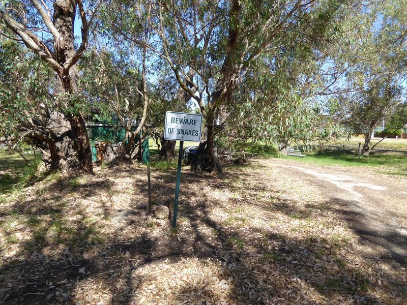 This is Australia, of course, but we're on the edge of the lake for a reason.