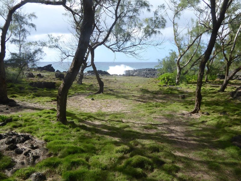 End of the road. See what happens when there's no protective reef?