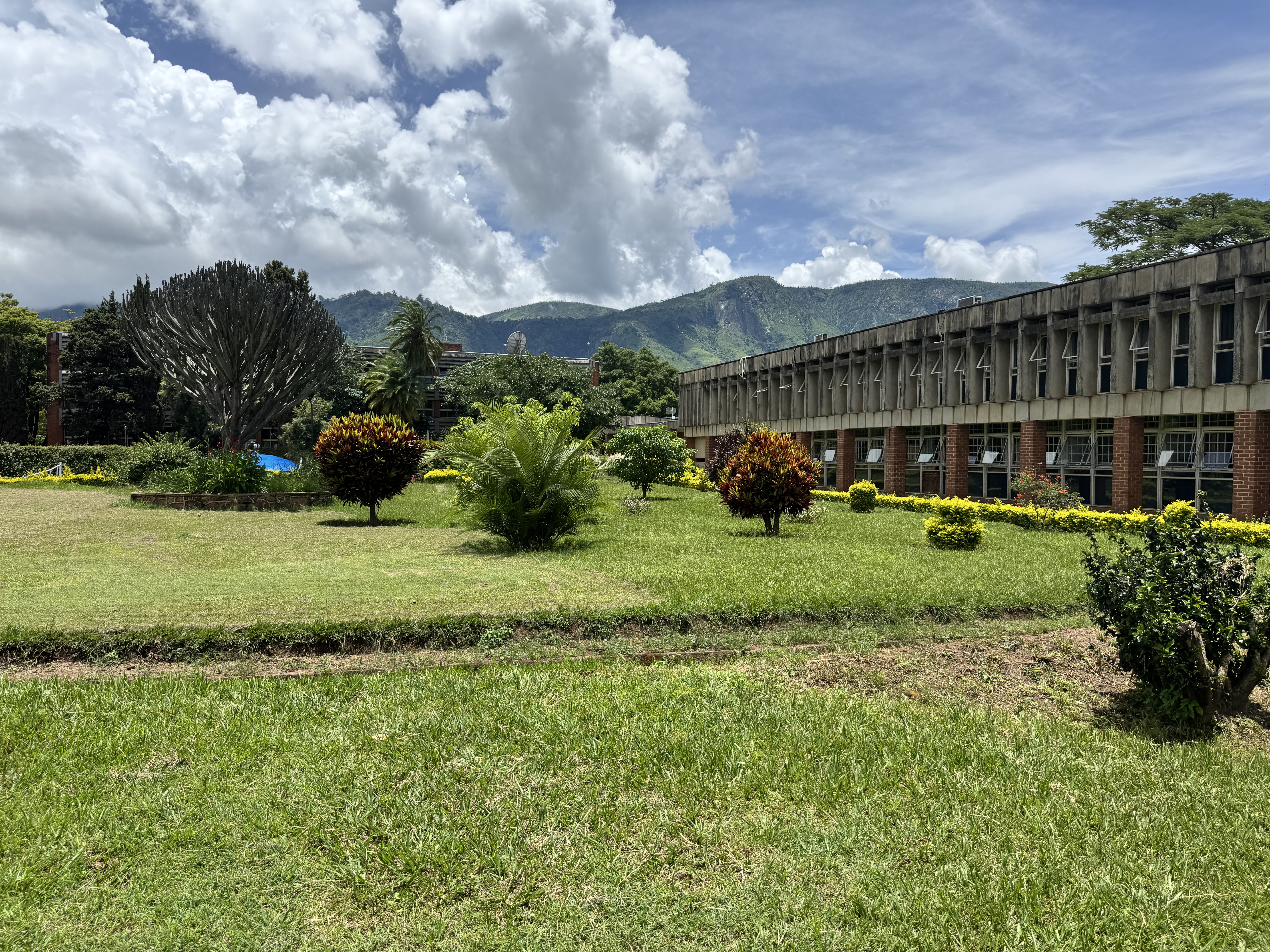 Zomba Mountain, seen here from the Stanfordish campus of the University of Malawi.