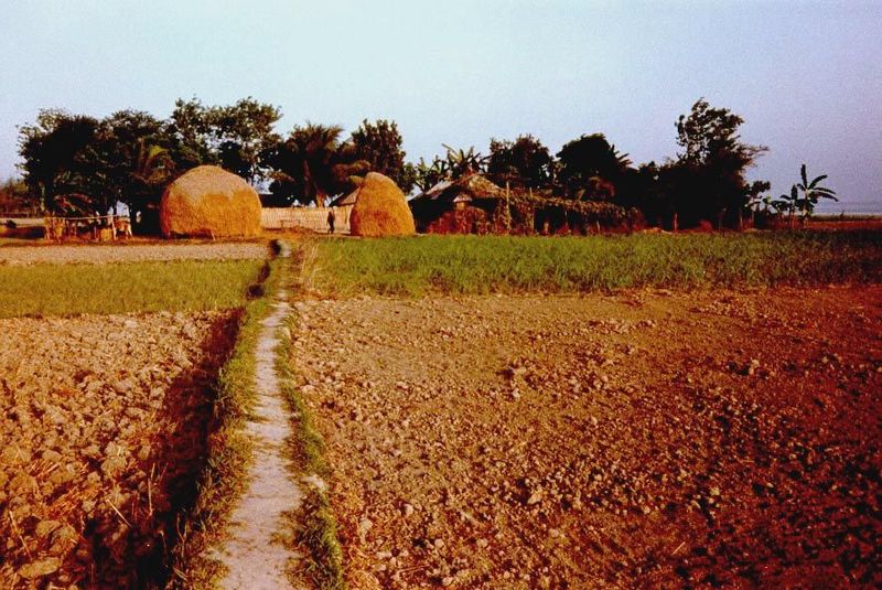The countryside is more interesting than the house. This is a dry season picture, with fallow fields and mounds of rice straw in the backgro