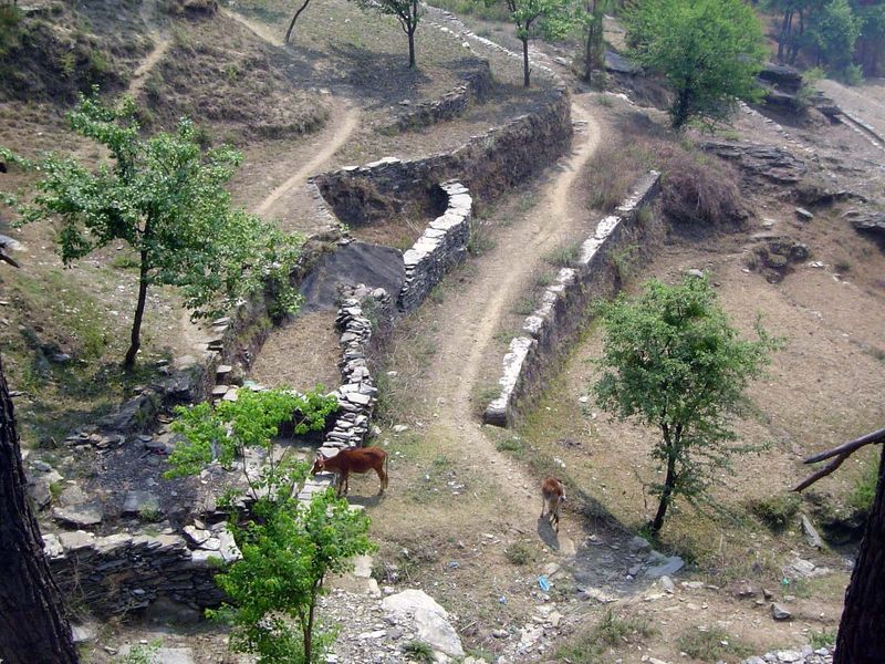 The terraces don't require a pathway for water from step to step; they do require a huge amount of labor.
