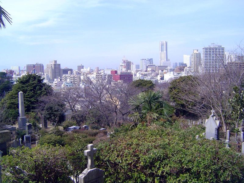The view from the top. In the distance, the Landmark Tower lives up to its name.