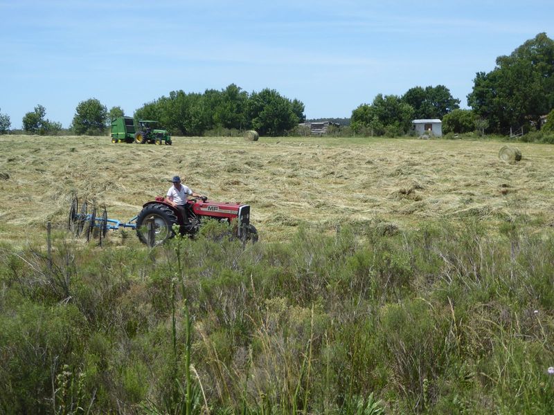 Beyond the fringe, all three towns are set in farm country.