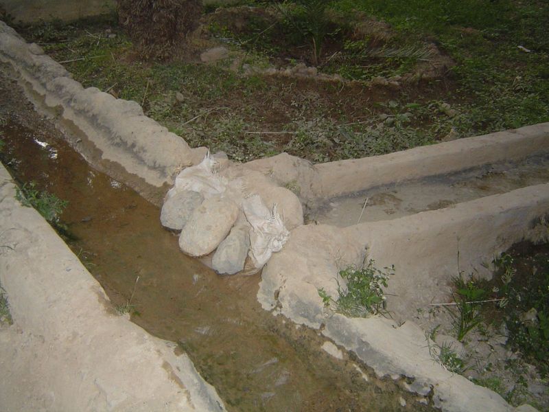 Irrigation channels.
