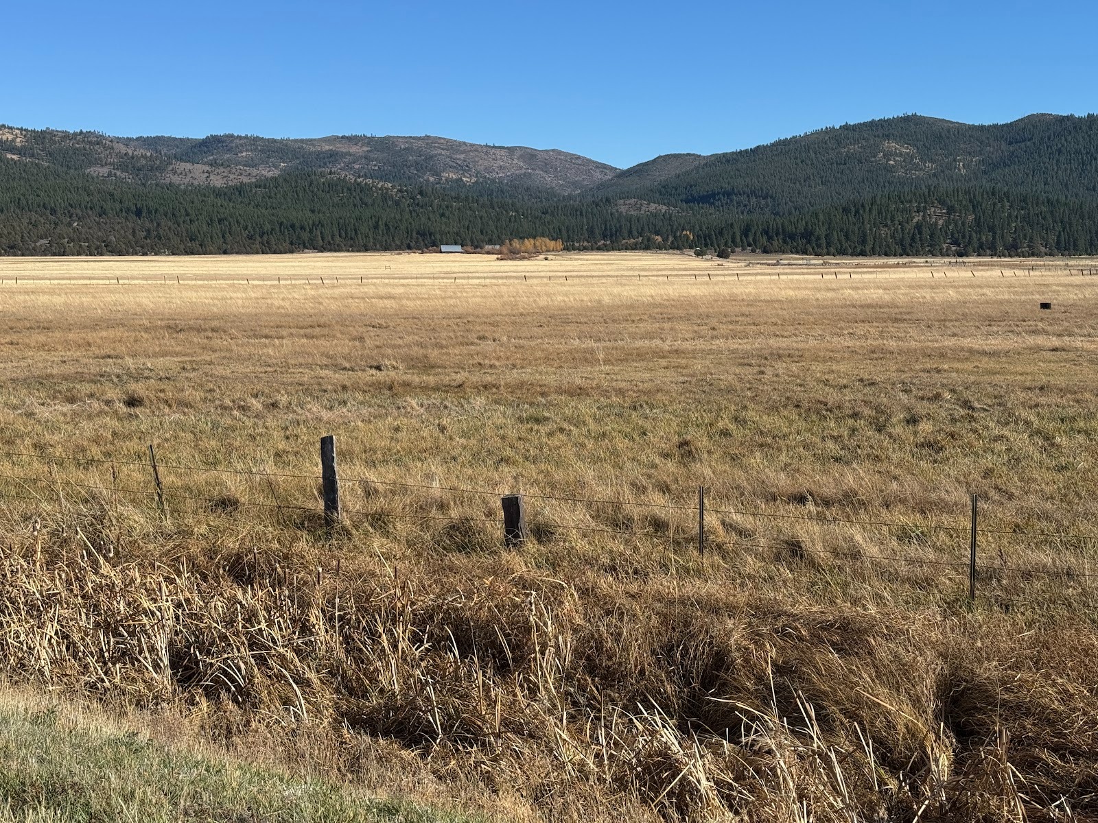 We're down on the floor of an old lake bed.  It's about 50 miles north of Lake Tahoe and, like that lake, is framed by mountains on both sid